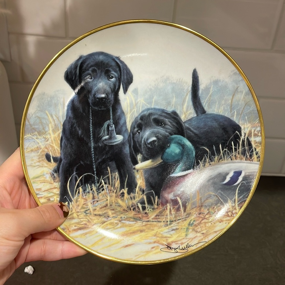 Beginners  Luck by Sue Willis Collector's Plate - Franklin Mint Limited Edition